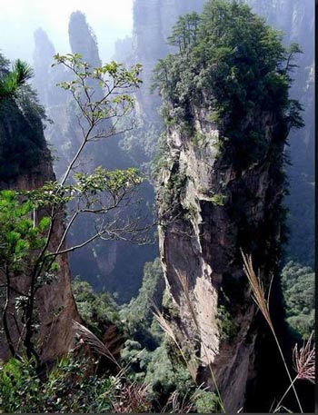 長沙出發(fā)到張家界溶洞奇觀黃龍洞、國家森林公園、袁家界、峰林之王天子山三日游（早班）
